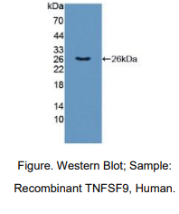 https://msimg.bioon.com/bionline/goods-no-pic.png