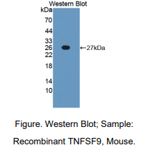 https://msimg.bioon.com/bionline/goods-no-pic.png