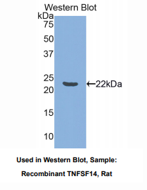 https://msimg.bioon.com/bionline/goods-no-pic.png