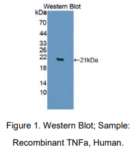 https://msimg.bioon.com/bionline/goods-no-pic.png