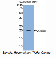 https://msimg.bioon.com/bionline/goods-no-pic.png