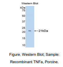 https://msimg.bioon.com/bionline/goods-no-pic.png