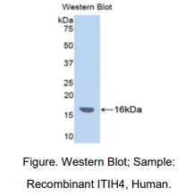 https://msimg.bioon.com/bionline/goods-no-pic.png