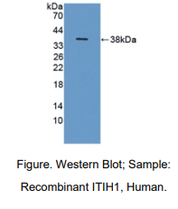 https://msimg.bioon.com/bionline/goods-no-pic.png