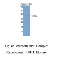 https://msimg.bioon.com/bionline/goods-no-pic.png