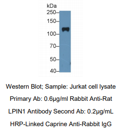 https://msimg.bioon.com/bionline/goods-no-pic.png