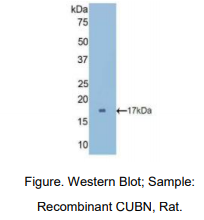 https://msimg.bioon.com/bionline/goods-no-pic.png