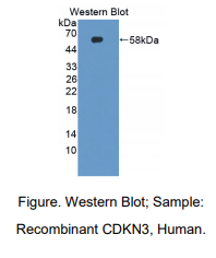 https://msimg.bioon.com/bionline/goods-no-pic.png