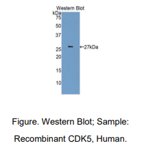 https://msimg.bioon.com/bionline/goods-no-pic.png