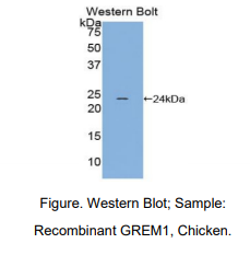 https://msimg.bioon.com/bionline/goods-no-pic.png