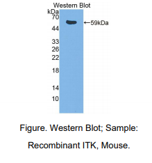 https://msimg.bioon.com/bionline/goods-no-pic.png