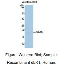 https://msimg.bioon.com/bionline/goods-no-pic.png