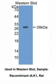 https://msimg.bioon.com/bionline/goods-no-pic.png