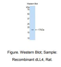 https://msimg.bioon.com/bionline/goods-no-pic.png