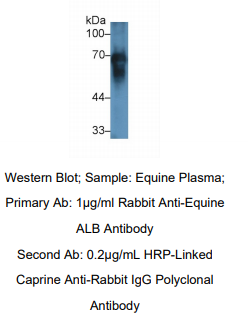 https://msimg.bioon.com/bionline/goods-no-pic.png