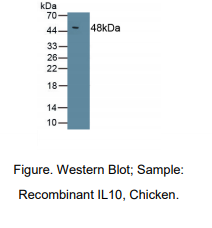 https://msimg.bioon.com/bionline/goods-no-pic.png