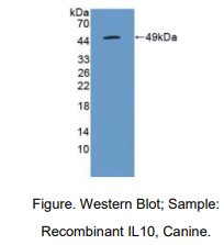 https://msimg.bioon.com/bionline/goods-no-pic.png