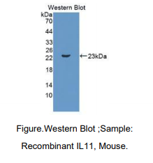 https://msimg.bioon.com/bionline/goods-no-pic.png