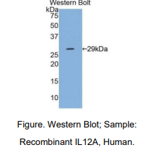 https://msimg.bioon.com/bionline/goods-no-pic.png