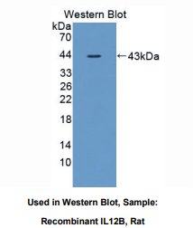 https://msimg.bioon.com/bionline/goods-no-pic.png