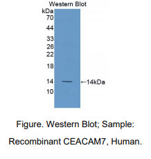 https://msimg.bioon.com/bionline/goods-no-pic.png