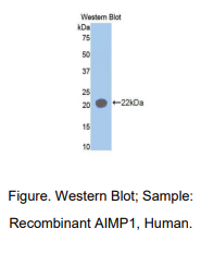 https://msimg.bioon.com/bionline/goods-no-pic.png