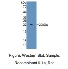 https://msimg.bioon.com/bionline/goods-no-pic.png