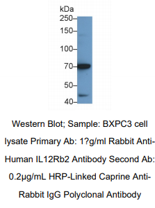 https://msimg.bioon.com/bionline/goods-no-pic.png