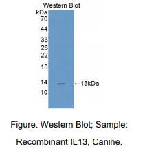 https://msimg.bioon.com/bionline/goods-no-pic.png