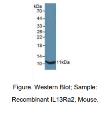 https://msimg.bioon.com/bionline/goods-no-pic.png