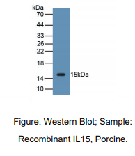 https://msimg.bioon.com/bionline/goods-no-pic.png