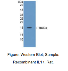 https://msimg.bioon.com/bionline/goods-no-pic.png