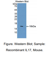 https://msimg.bioon.com/bionline/goods-no-pic.png