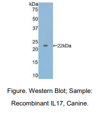 https://msimg.bioon.com/bionline/goods-no-pic.png