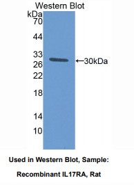 https://msimg.bioon.com/bionline/goods-no-pic.png