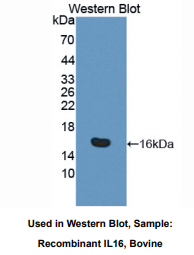 https://msimg.bioon.com/bionline/goods-no-pic.png