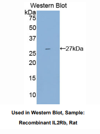 https://msimg.bioon.com/bionline/goods-no-pic.png