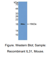 https://msimg.bioon.com/bionline/goods-no-pic.png