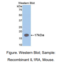 https://msimg.bioon.com/bionline/goods-no-pic.png