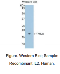 https://msimg.bioon.com/bionline/goods-no-pic.png