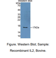 https://msimg.bioon.com/bionline/goods-no-pic.png