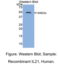 https://msimg.bioon.com/bionline/goods-no-pic.png