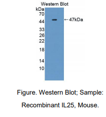 https://msimg.bioon.com/bionline/goods-no-pic.png