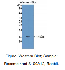 https://msimg.bioon.com/bionline/goods-no-pic.png