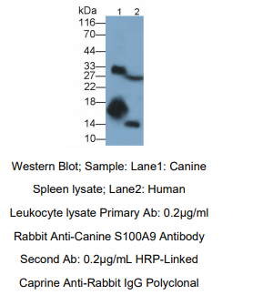 https://msimg.bioon.com/bionline/goods-no-pic.png