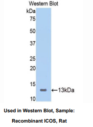 https://msimg.bioon.com/bionline/goods-no-pic.png