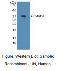 https://msimg.bioon.com/bionline/goods-no-pic.png