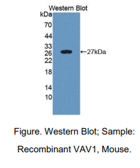 https://msimg.bioon.com/bionline/goods-no-pic.png