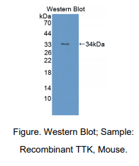 https://msimg.bioon.com/bionline/goods-no-pic.png