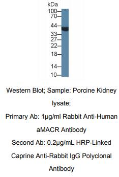 https://msimg.bioon.com/bionline/goods-no-pic.png